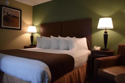 Best Western Southlake Inn - image 3