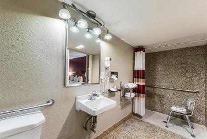 Red Roof Inn Morton Grove - image 13