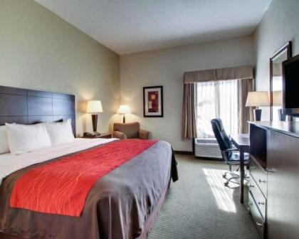 Comfort Inn Moss Point Pascagoula - image 15