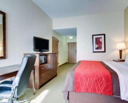 Comfort Inn Moss Point Pascagoula - image 7