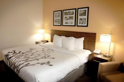 Sleep Inn & Suites Moundsville - image 14