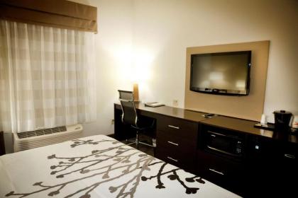 Sleep Inn & Suites Moundsville - image 15