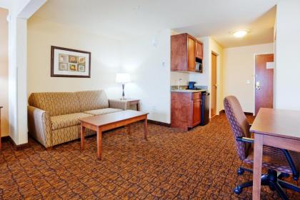 Holiday Inn Express Hotel & Suites Mount Airy an IHG Hotel - image 15