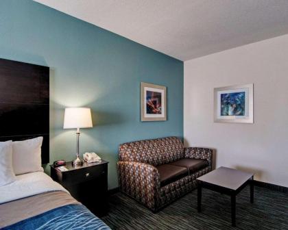 Comfort Inn Mount Airy - image 10