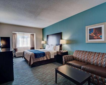 Comfort Inn Mount Airy - image 12