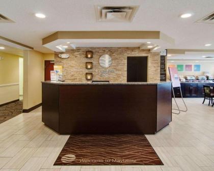 Comfort Inn Mount Airy - image 13