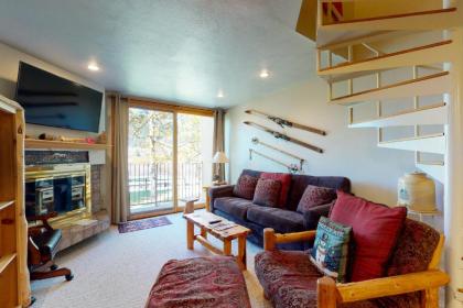 Holiday homes in mount Crested Butte Colorado