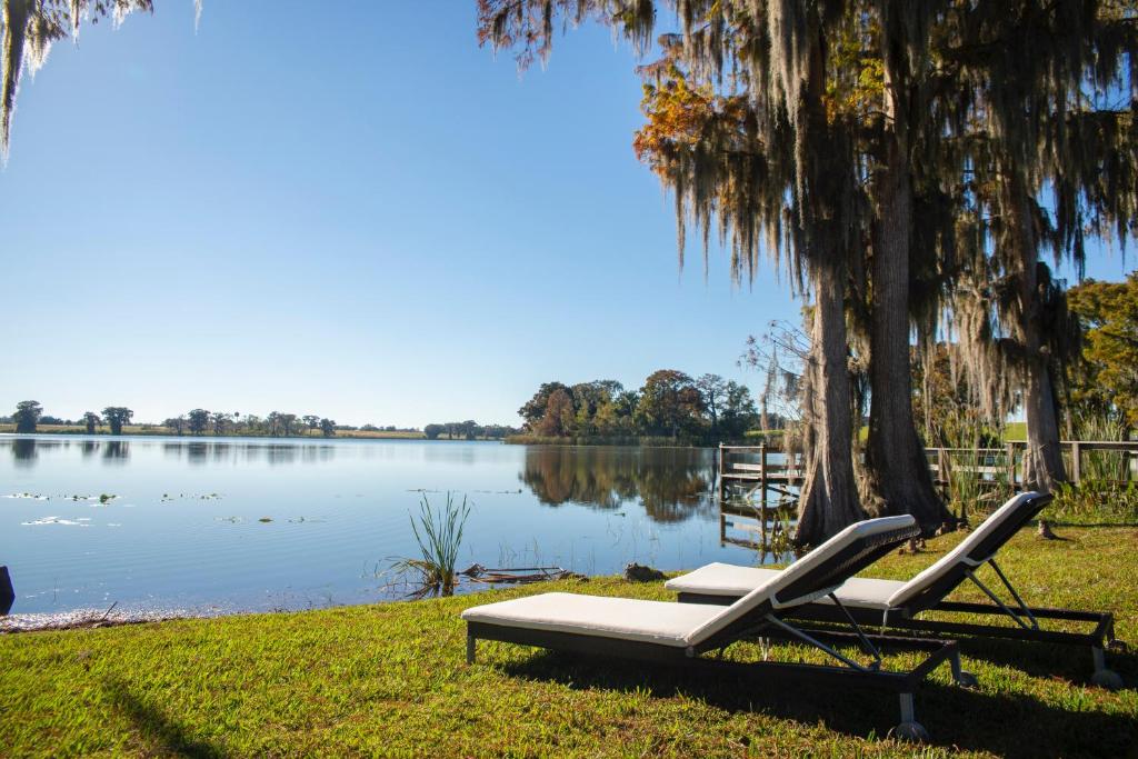 Mount Dora - Lake Jem - image 5