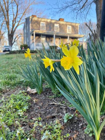 Family Farmhouse Inn - image 8