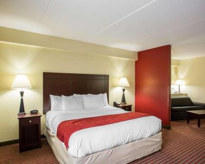 Comfort Suites Mt. Juliet-Nashville Area - image 10