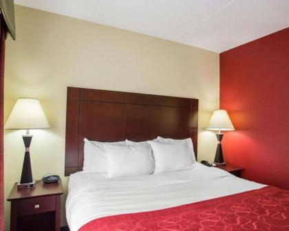 Comfort Suites Mt. Juliet-Nashville Area - image 5