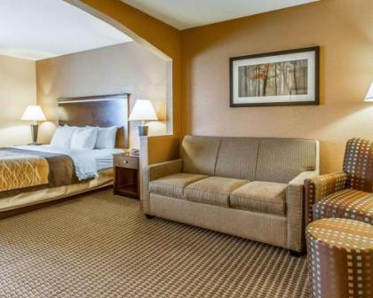 Quality Inn & Suites - image 3