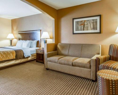 Quality Inn & Suites - image 3