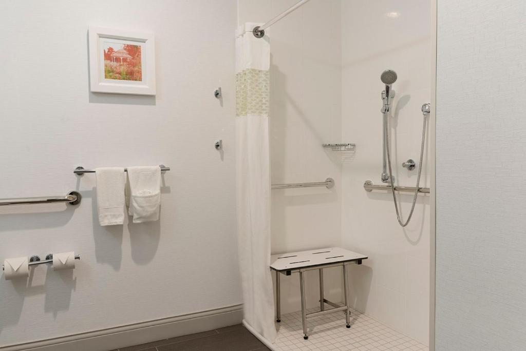 Hampton Inn Mount Pleasant - image 7