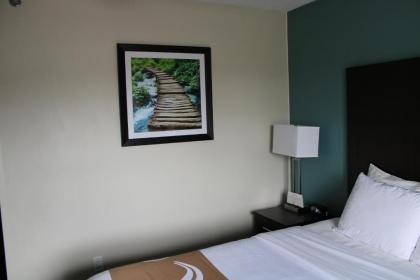 Quality Inn - image 10