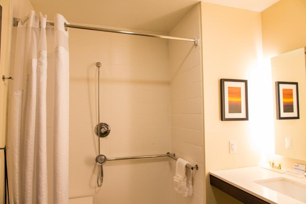 Holiday Inn Hotel & Suites - Mount Pleasant an IHG Hotel - image 7