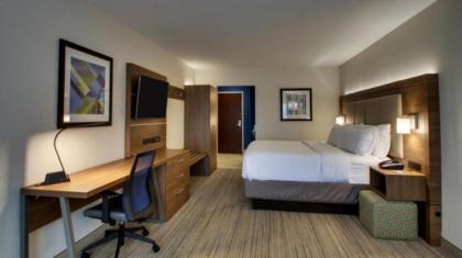 Holiday Inn Express Hotel & Suites Mount Pleasant an IHG Hotel - image 15