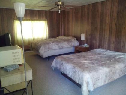 Mountaineer Motel - image 7