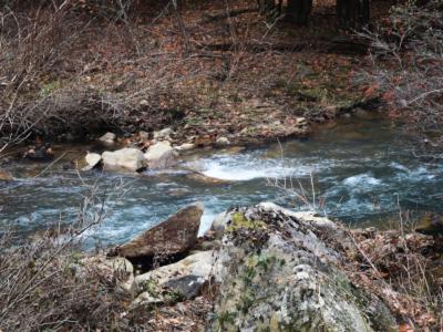 Abrams Creek Campground - image 3