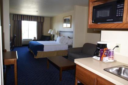 Holiday Inn Express Hotels & Suites Mountain Home an IHG Hotel - image 4