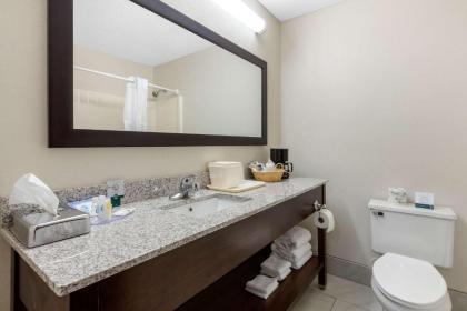 Quality Inn & Suites Mountain Home North - image 10