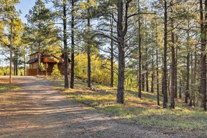 Secluded Flagstaff Apt on 4 Acres with Spacious Deck - image 13