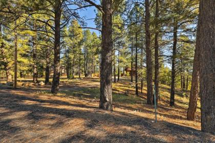 Secluded Flagstaff Apt on 4 Acres with Spacious Deck - image 2