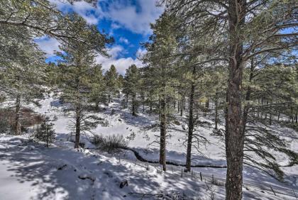 Renovated Mountain Home about 10Mi to Downtown Flagstaff - image 13