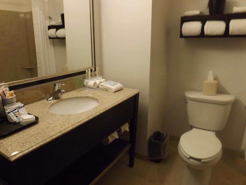 Holiday Inn Express Pittsburgh - Munhall an IHG Hotel - image 4