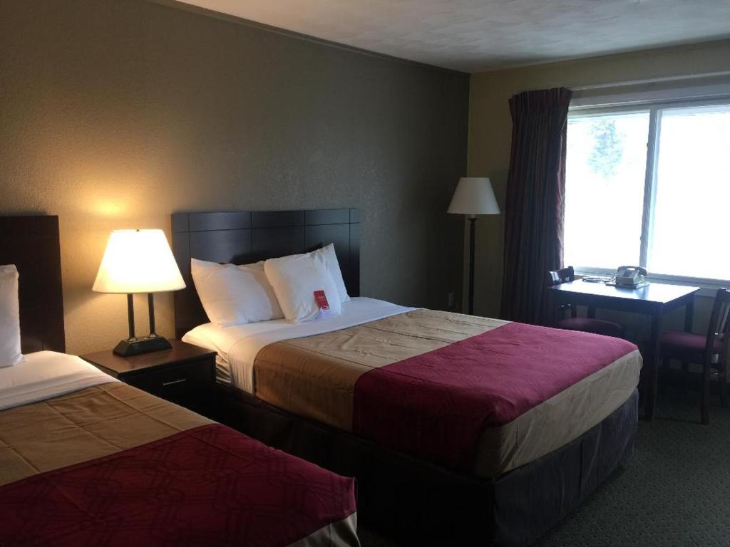 Econo Lodge Inn & Suites Munising Area - image 2