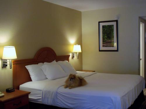 Best Western of Murphy - image 4