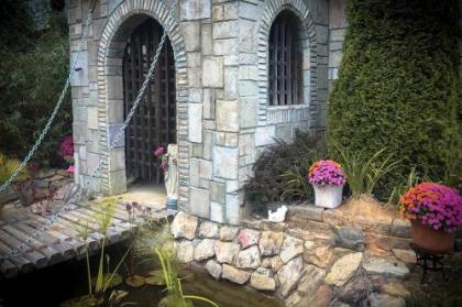 murphy Castle of Joy on 11 Acres with Hot tub