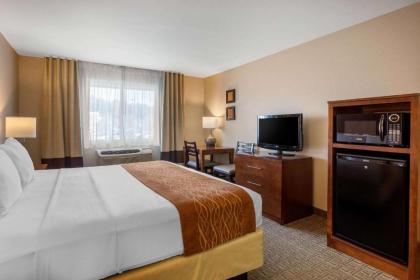 Comfort Inn & Suites Murrieta Temecula Wine Country - image 6