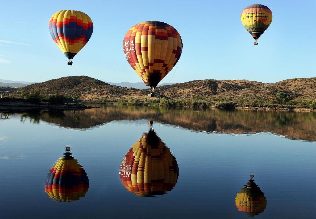 Balloons and Wine - image 7