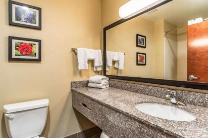 Comfort Inn and Suites - Tuscumbia/Muscle Shoals - image 2