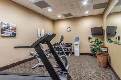 Comfort Inn and Suites - Tuscumbia/Muscle Shoals - image 9