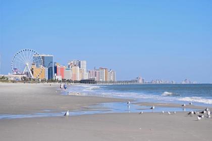 Holiday Sands North On the Boardwalk - image 3