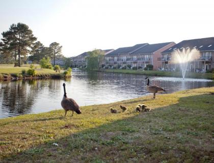 Grand Villa with Amazing Comforts in Surfside Beach - One Bedroom #1 - image 15