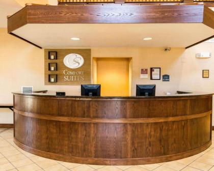 Comfort Suites Nacogdoches - image 6