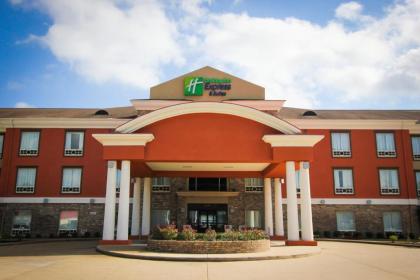 Holiday Inn Express Hotel & Suites Nacogdoches an IHG Hotel - image 8