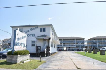 Blue Heron motel North Carolina