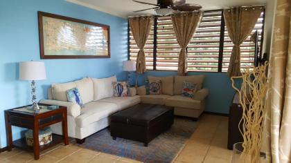 Fully Air Conditioned Beach Front Penthouse Apartment Naguabo 