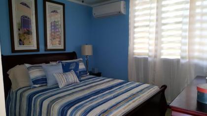 Fully Air-Conditioned Beach Front Penthouse Apartment - image 15