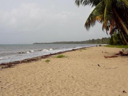 Beach Front Apartment Naguabo - image 12