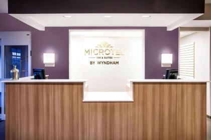 Microtel Inn & Suites by Wyndham Vernal/Naples - image 9