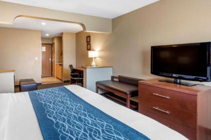 Comfort Inn & Suites Napoleon - image 11