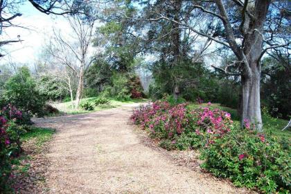 Glenfield Plantation Historic Antebellum Bed and Breakfast - image 2