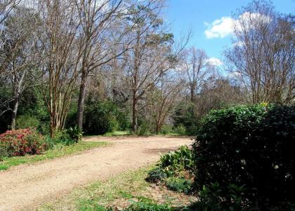 Glenfield Plantation Historic Antebellum Bed and Breakfast - image 3