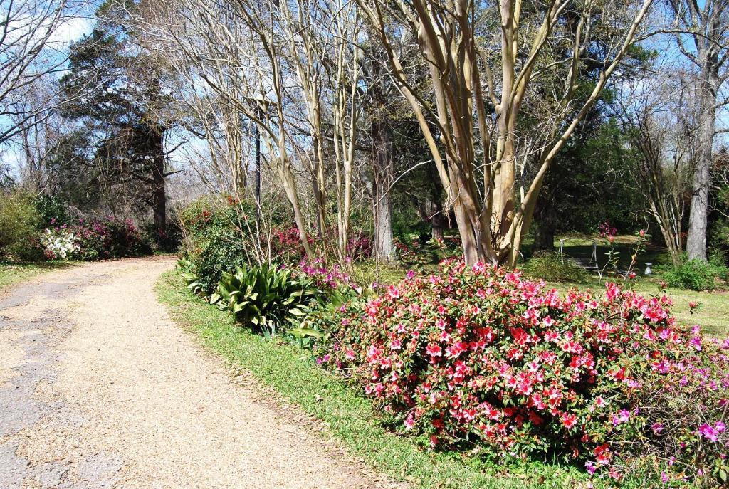 Glenfield Plantation Historic Antebellum Bed and Breakfast - image 4