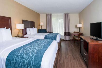 Comfort Inn Naugatuck - Waterbury - image 14